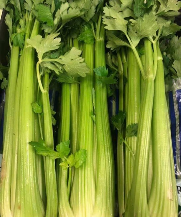 Geraldton Fruit and Vegetable Supply Store