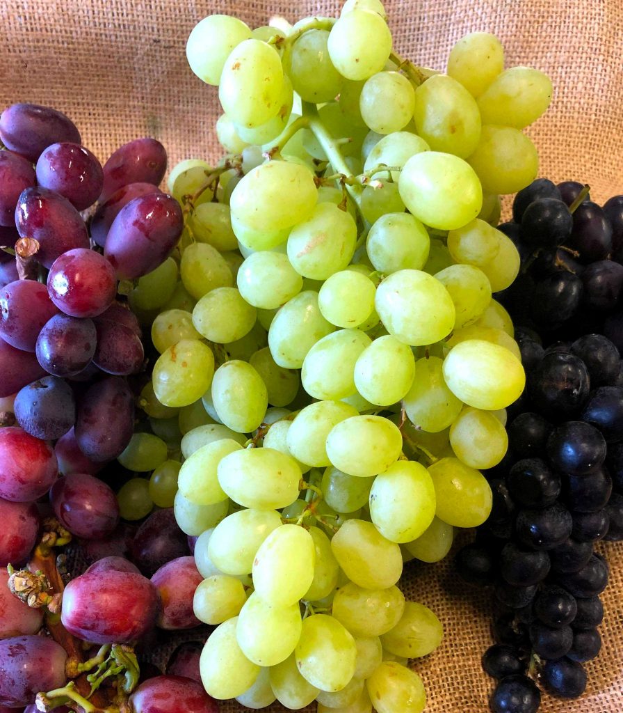 Geraldton Fruit and Vegetable Supply Store